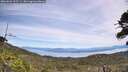 ./images/calvert/fitz-hugh-hecate/20260622/fitz-hugh-hecate20260622_125501M.jpg
