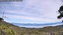 ./images/calvert/fitz-hugh-hecate/20260622/fitz-hugh-hecate20260622_132001M.jpg