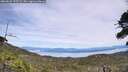 ./images/calvert/fitz-hugh-hecate/20260622/fitz-hugh-hecate20260622_135501M.jpg