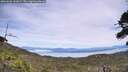 ./images/calvert/fitz-hugh-hecate/20260622/fitz-hugh-hecate20260622_141001M.jpg