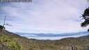 ./images/calvert/fitz-hugh-hecate/20260622/fitz-hugh-hecate20260622_141501M.jpg
