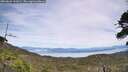 ./images/calvert/fitz-hugh-hecate/20260622/fitz-hugh-hecate20260622_142001M.jpg