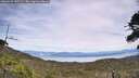 ./images/calvert/fitz-hugh-hecate/20260622/fitz-hugh-hecate20260622_142502M.jpg