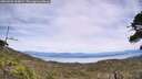 ./images/calvert/fitz-hugh-hecate/20260622/fitz-hugh-hecate20260622_144001M.jpg