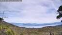 ./images/calvert/fitz-hugh-hecate/20260622/fitz-hugh-hecate20260622_145001M.jpg