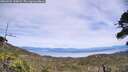 ./images/calvert/fitz-hugh-hecate/20260622/fitz-hugh-hecate20260622_150001M.jpg