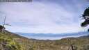 ./images/calvert/fitz-hugh-hecate/20260622/fitz-hugh-hecate20260622_152501M.jpg