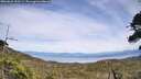 ./images/calvert/fitz-hugh-hecate/20260622/fitz-hugh-hecate20260622_153501M.jpg