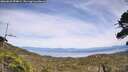 ./images/calvert/fitz-hugh-hecate/20260622/fitz-hugh-hecate20260622_154001M.jpg
