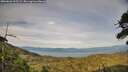 ./images/calvert/fitz-hugh-hecate/20260622/fitz-hugh-hecate20260622_195501M.jpg