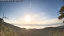./images/calvert/fitz-hugh-hecate/20260623/fitz-hugh-hecate20260623_063001M.jpg