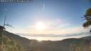 ./images/calvert/fitz-hugh-hecate/20260623/fitz-hugh-hecate20260623_063501M.jpg