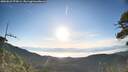 ./images/calvert/fitz-hugh-hecate/20260623/fitz-hugh-hecate20260623_070001M.jpg