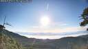 ./images/calvert/fitz-hugh-hecate/20260623/fitz-hugh-hecate20260623_071501M.jpg