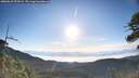 ./images/calvert/fitz-hugh-hecate/20260623/fitz-hugh-hecate20260623_072001M.jpg