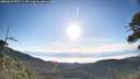 ./images/calvert/fitz-hugh-hecate/20260623/fitz-hugh-hecate20260623_072501M.jpg