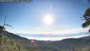 ./images/calvert/fitz-hugh-hecate/20260623/fitz-hugh-hecate20260623_073001M.jpg
