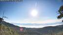 ./images/calvert/fitz-hugh-hecate/20260623/fitz-hugh-hecate20260623_073501M.jpg