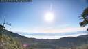 ./images/calvert/fitz-hugh-hecate/20260623/fitz-hugh-hecate20260623_074502M.jpg