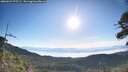 ./images/calvert/fitz-hugh-hecate/20260623/fitz-hugh-hecate20260623_075501M.jpg