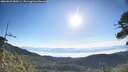 ./images/calvert/fitz-hugh-hecate/20260623/fitz-hugh-hecate20260623_080501M.jpg
