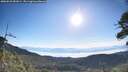 ./images/calvert/fitz-hugh-hecate/20260623/fitz-hugh-hecate20260623_081001M.jpg