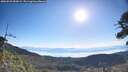 ./images/calvert/fitz-hugh-hecate/20260623/fitz-hugh-hecate20260623_083001M.jpg