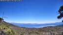 ./images/calvert/fitz-hugh-hecate/20260623/fitz-hugh-hecate20260623_140501M.jpg