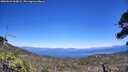 ./images/calvert/fitz-hugh-hecate/20260623/fitz-hugh-hecate20260623_144001M.jpg