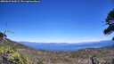 ./images/calvert/fitz-hugh-hecate/20260623/fitz-hugh-hecate20260623_144501M.jpg
