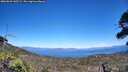 ./images/calvert/fitz-hugh-hecate/20260623/fitz-hugh-hecate20260623_145501M.jpg
