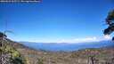 ./images/calvert/fitz-hugh-hecate/20260623/fitz-hugh-hecate20260623_165501M.jpg
