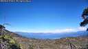 ./images/calvert/fitz-hugh-hecate/20260623/fitz-hugh-hecate20260623_171001M.jpg
