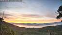 ./images/calvert/fitz-hugh-hecate/20260624/fitz-hugh-hecate20260624_052001M.jpg