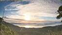 ./images/calvert/fitz-hugh-hecate/20260624/fitz-hugh-hecate20260624_063501M.jpg