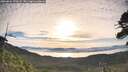 ./images/calvert/fitz-hugh-hecate/20260624/fitz-hugh-hecate20260624_072001M.jpg