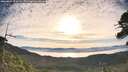 ./images/calvert/fitz-hugh-hecate/20260624/fitz-hugh-hecate20260624_073501M.jpg