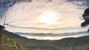./images/calvert/fitz-hugh-hecate/20260624/fitz-hugh-hecate20260624_074001M.jpg