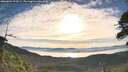 ./images/calvert/fitz-hugh-hecate/20260624/fitz-hugh-hecate20260624_074501M.jpg