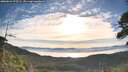 ./images/calvert/fitz-hugh-hecate/20260624/fitz-hugh-hecate20260624_075501M.jpg