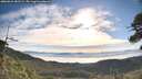 ./images/calvert/fitz-hugh-hecate/20260624/fitz-hugh-hecate20260624_081501M.jpg