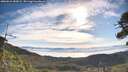 ./images/calvert/fitz-hugh-hecate/20260624/fitz-hugh-hecate20260624_083001M.jpg
