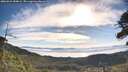 ./images/calvert/fitz-hugh-hecate/20260624/fitz-hugh-hecate20260624_084002M.jpg