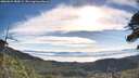 ./images/calvert/fitz-hugh-hecate/20260624/fitz-hugh-hecate20260624_084502M.jpg