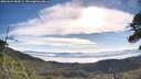 ./images/calvert/fitz-hugh-hecate/20260624/fitz-hugh-hecate20260624_085002M.jpg