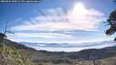 ./images/calvert/fitz-hugh-hecate/20260624/fitz-hugh-hecate20260624_090501M.jpg
