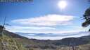 ./images/calvert/fitz-hugh-hecate/20260624/fitz-hugh-hecate20260624_091501M.jpg