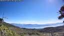 ./images/calvert/fitz-hugh-hecate/20260624/fitz-hugh-hecate20260624_104501M.jpg