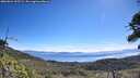 ./images/calvert/fitz-hugh-hecate/20260624/fitz-hugh-hecate20260624_105501M.jpg