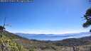 ./images/calvert/fitz-hugh-hecate/20260624/fitz-hugh-hecate20260624_111002M.jpg